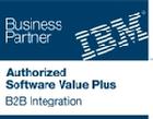 IBM Business Partner